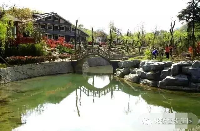 這個(gè)周末，隴南康縣花橋有大事要發(fā)生？