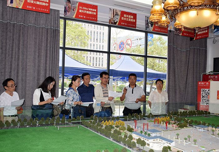 省、市聯(lián)合工作組蒞臨階州廣場檢查指導(dǎo)工作