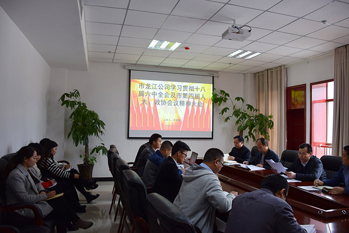 市龍江公司召開全體員工大會，專題傳達學(xué)習(xí)上級會議精神