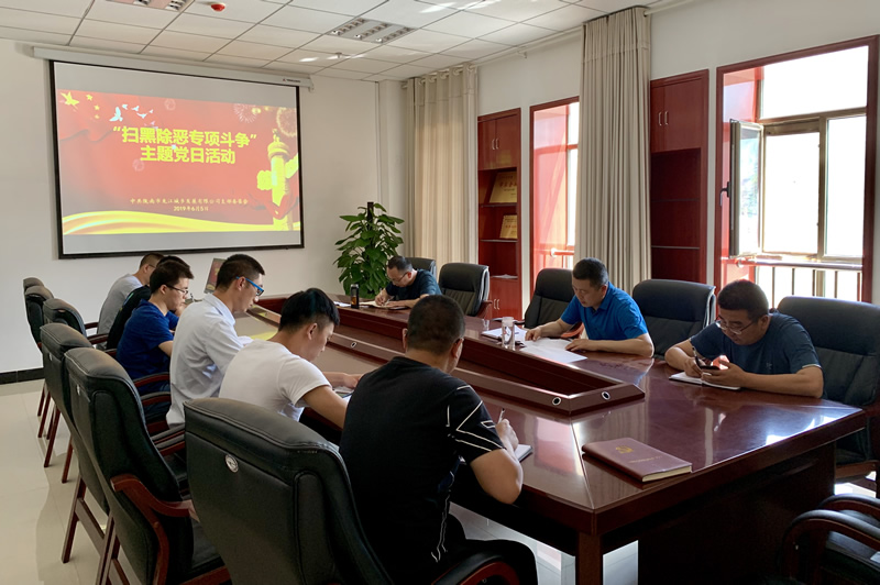 【掃黑除惡隴南在行動】市龍江集團(tuán)公司開展“掃黑除惡專項斗爭”主題黨日活動