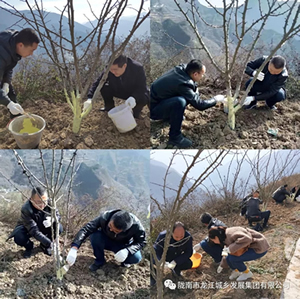 市龍江集團在文縣橋頭鎮(zhèn)安子坡村開展“解難題、辦實事、送溫暖”活動