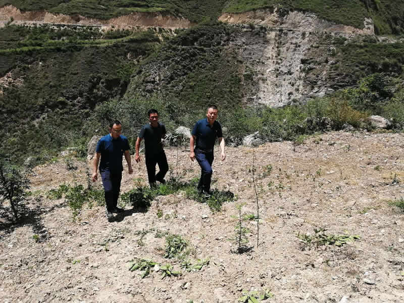 “感黨恩、憶黨史”，--市龍江城鄉(xiāng)發(fā)展集團(tuán)公司開(kāi)展慶祝建黨99周年主題黨日活動(dòng)